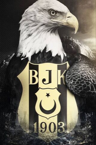 Beşiktaş Duvar Kağıtları for Android - APK Download