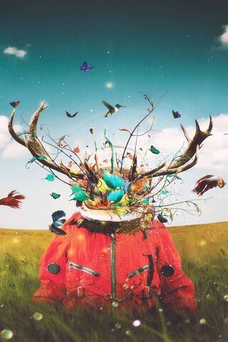 Cosmic Wilderness: A Dr..