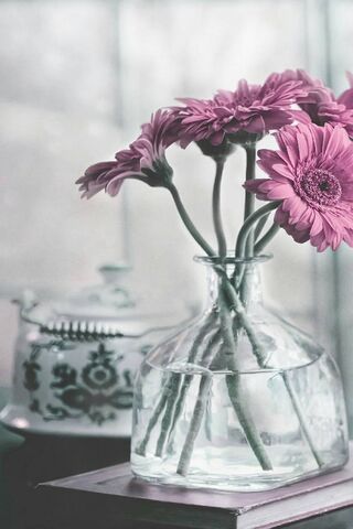 Blossoms of Serenity 🌸