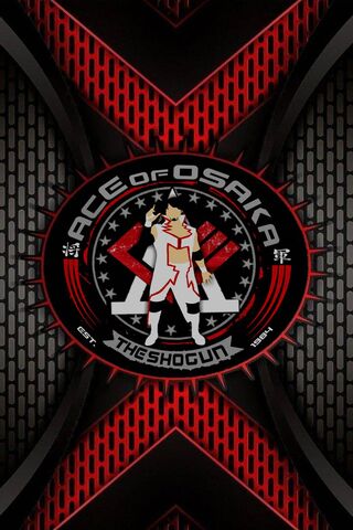The Shogun's Legacy: Ace of Osaka