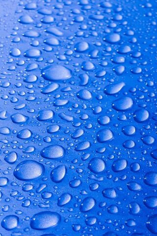 Dewy Delights: Nature's Tiny Gems 💧✨