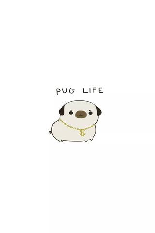 Pug