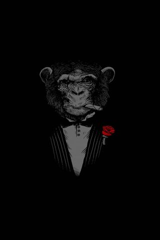 Godfather Monkey 4k