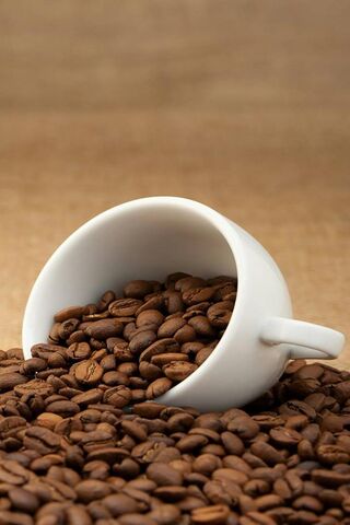 Tazza Caffe: A Coffee Lover's Dream ☕️✨