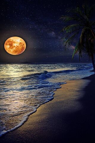 Mondschein Strand