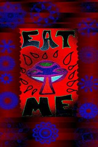 Feast of Curiosities 🍽️✨