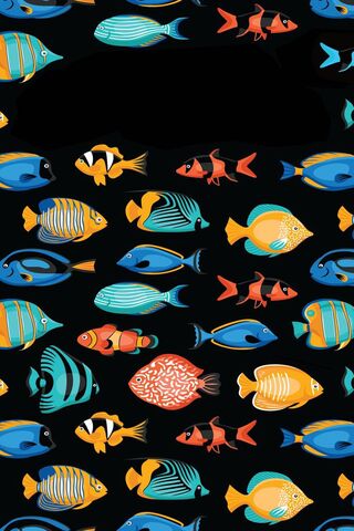 Fishes