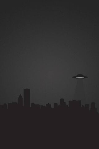 Mystery in the Night Sk..