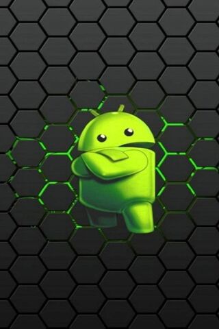 The Iconic Android Robo..
