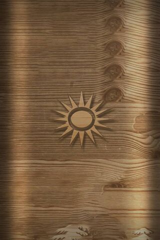 Radiant Wood: The Sun's Embrace ☀️🌲