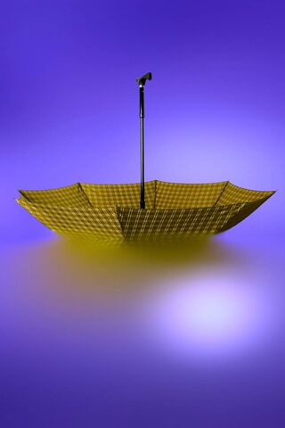 Sunny Days Ahead: The Cheerful Umbrella ☂️🌞