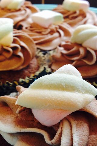 Decadent Delight: Chocolate Cupcake Bliss 🍫🧁