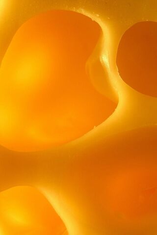 Cheesy Delights: A Close-Up Adventure 🧀✨