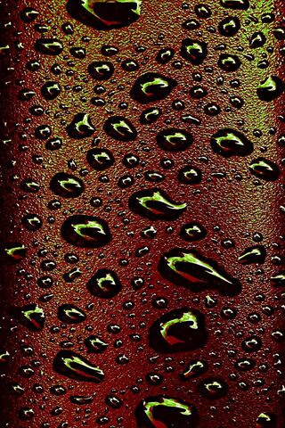 Nature's Jewels: The Be..