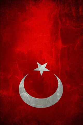 तुर्की ध्वज