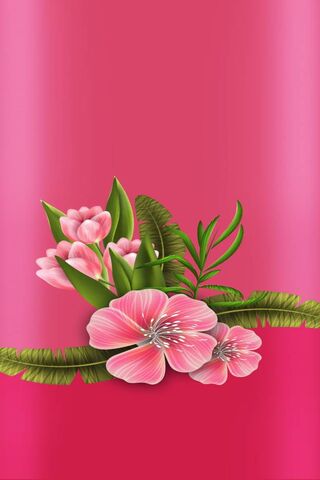 Blossoms of Affection �..