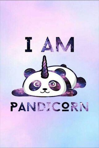 Cosmic Cuteness: The Pandicorn Dream 🌌🐼