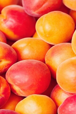 Peachy Perfection 🍑✨