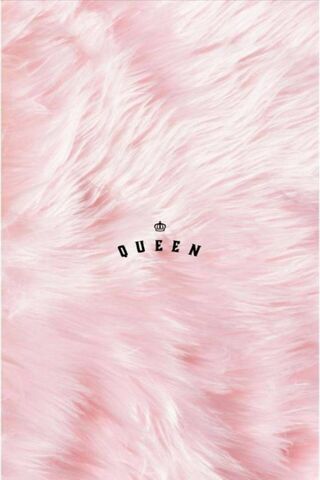 Royal Elegance: The Que..