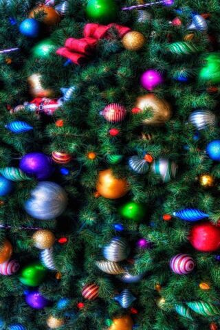 Festive Splendor: A Colorful Christmas Display 🎄✨