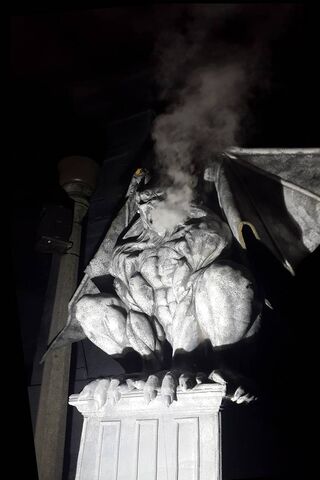 Mystical Guardian of the Night 🌙🦇