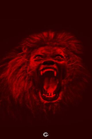 The Roaring Spirit of Gomis 🦁🔥