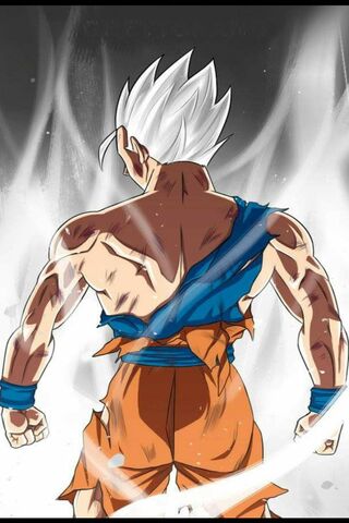 Goku's Ultimate Transfo..
