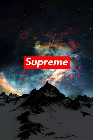 Supreme Bear Wallpaper - Download to your mobile from PHONEKY