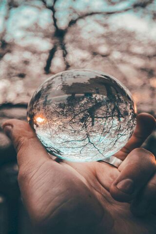 Kure: A Glimpse into Nature's Reflection 🌳✨