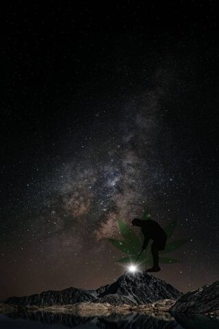 Cosmic Harvest: The Biggas13 Journey 🌌🌿