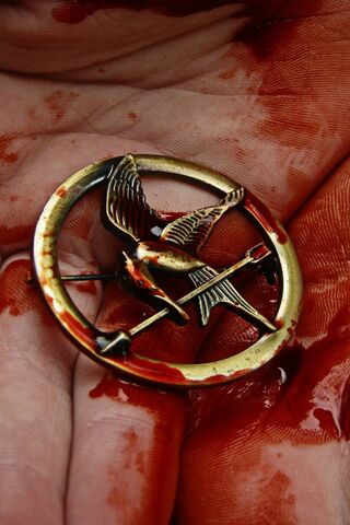 Symbol of Rebellion: The Mockingjay