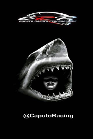 Unleashing the Beast: Crp Shark