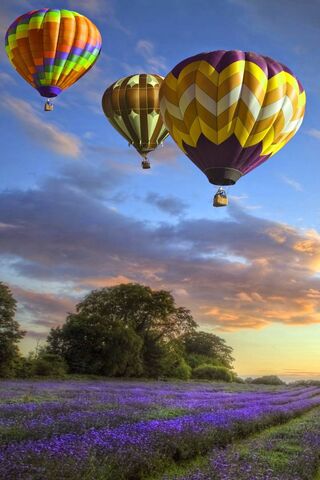 Soaring Colors: A Balloon Adventure 🌈🎈