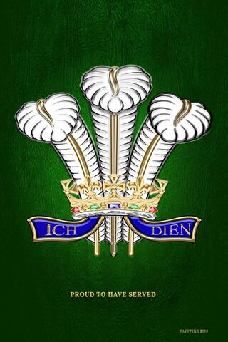 Proud Heritage: The Emblem of Service 🇬🇧