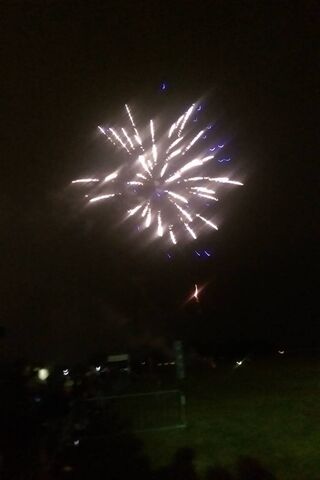 Sparkling Night Sky: A Firework Spectacle 🎆✨