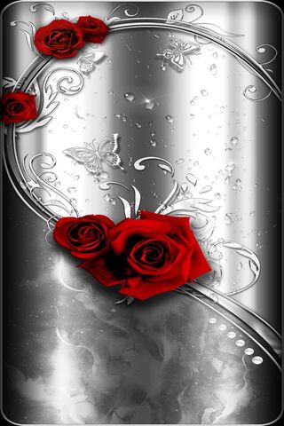 Elegant Reflections: A ..