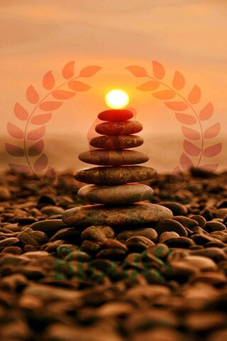 Sunset Serenity: The Balance of Nature 🌅✨