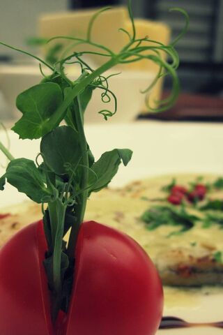 Garden Fresh Delight: The Tomato Vase