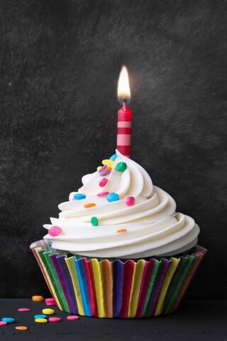 Celebration Delight: Th..