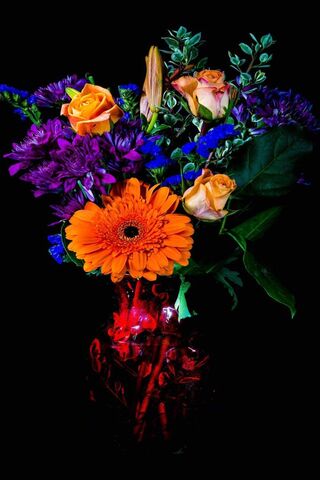 Vibrant Blooms: A Flora..