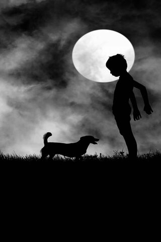 Moonlit Whispers: A Boy and His Shadow