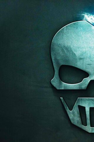 The Iconic Skull: A Sym..