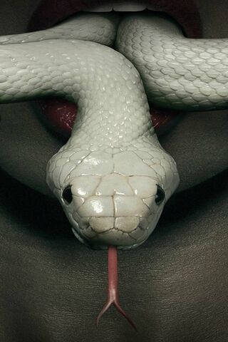 Whispers of the Serpent