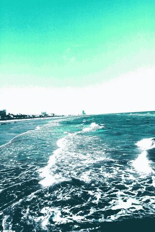 Serene Shores: A Coastal Escape 🌊✨