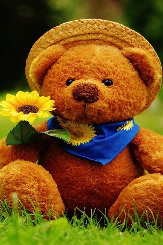 Cute Teddy Bear Wallpaper - Download to your mobile from PHONEKY