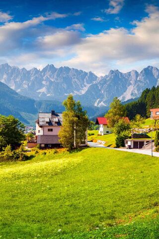 Serenity in the Swiss Alps 🏔️🌲