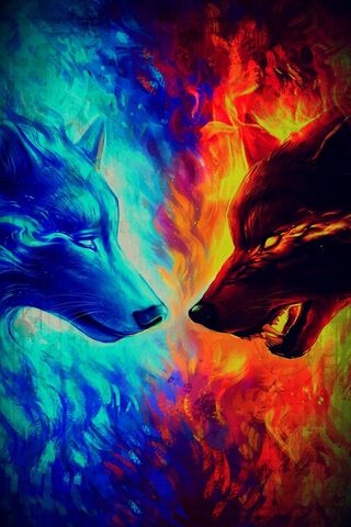 المياه مقابل النار الذئب