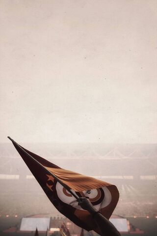 Roaring Pride: The Spirit of Galatasaray