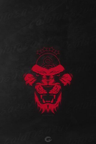 Roaring Pride of Galatasaray 🦁✨