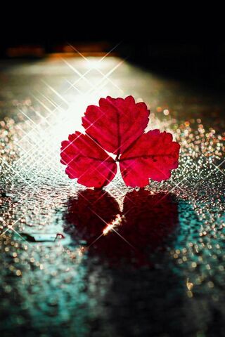 Radiant Pink: Nature's Gem 🌸✨